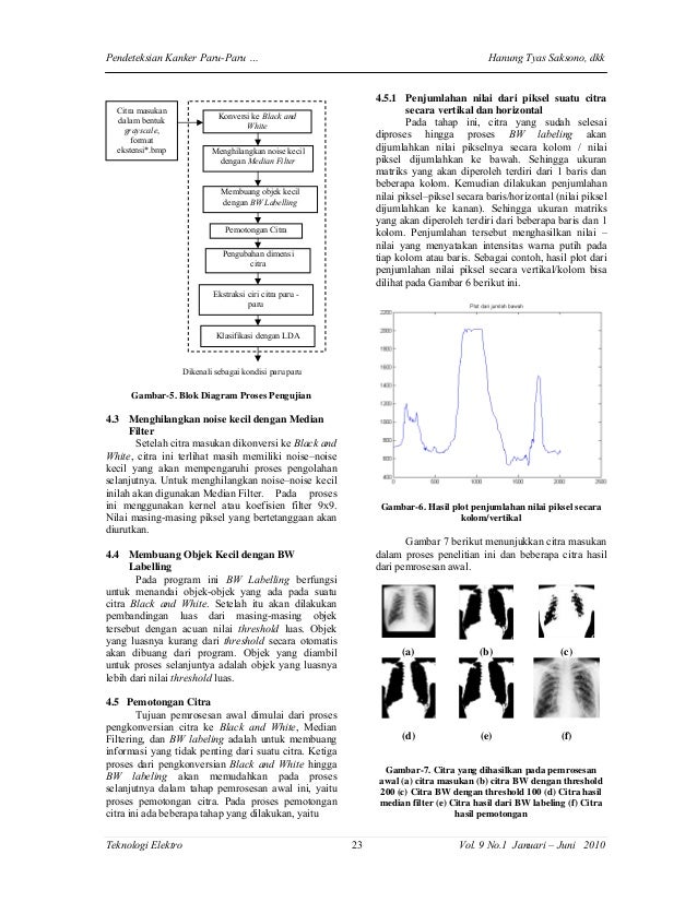 Jurnal ca paru