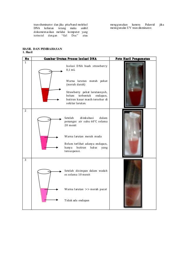 Jurnal Ekstrasi Dna Ihwan