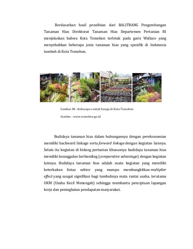 PENGEMBANGAN PARIWISATA KOTA TOMOHON SEBAGAI KOTA BUNGA 