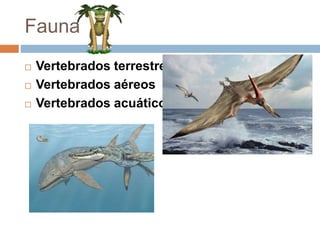 Fauna
 Vertebrados terrestres
 Vertebrados aéreos
 Vertebrados acuáticos
 