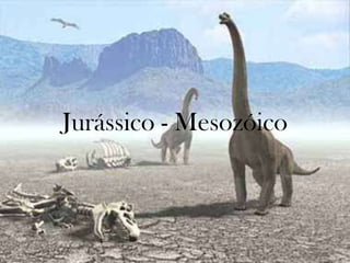 Jurássico - Mesozóico
 