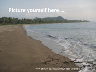 View of main beach Jurubira, Choco Colombia
Picture yourself here …
 