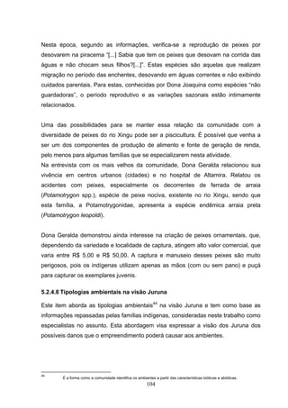 Nesta época, segundo as informações, verifica-se a reprodução de peixes por
desovarem na piracema “[...] Sabia que tem os peixes que desovam na corrida das
águas e não chocam seus filhos?[...]”. Estas espécies são aquelas que realizam
migração no período das enchentes, desovando em águas correntes e não exibindo
cuidados parentais. Para estas, conhecidas por Dona Joaquina como espécies “não
guardadoras”, o período reprodutivo e as variações sazonais estão intimamente
relacionados.


Uma das possibilidades para se manter essa relação da comunidade com a
diversidade de peixes do rio Xingu pode ser a piscicultura. É possível que venha a
ser um dos componentes de produção de alimento e fonte de geração de renda,
pelo menos para algumas famílias que se especializarem nesta atividade.
Na entrevista com os mais velhos da comunidade, Dona Geralda relacionou sua
vivência em centros urbanos (cidades) e no hospital de Altamira. Relatou os
acidentes com peixes, especialmente os decorrentes de ferrada de arraia
(Potamotrygon spp.), espécie de peixe nociva, existente no rio Xingu, sendo que
esta família, a Potamotrygonidae, apresenta a espécie endêmica arraia preta
(Potamotrygon leopoldi).


Dona Geralda demonstrou ainda interesse na criação de peixes ornamentais, que,
dependendo da variedade e localidade de captura, atingem alto valor comercial, que
varia entre R$ 5,00 e R$ 50,00. A captura e manuseio desses peixes são muito
perigosos, pois os indígenas utilizam apenas as mãos (com ou sem pano) e puçá
para capturar os exemplares juvenis.

5.2.4.8 Tipologias ambientais na visão Juruna

Este item aborda as tipologias ambientais44 na visão Juruna e tem como base as
informações repassadas pelas famílias indígenas, consideradas neste trabalho como
especialistas no assunto. Esta abordagem visa expressar a visão dos Juruna dos
possíveis danos que o empreendimento poderá causar aos ambientes.




44
        É a forma como a comunidade identifica os ambientes a partir das características bióticas e abióticas.
                                                        104
 
