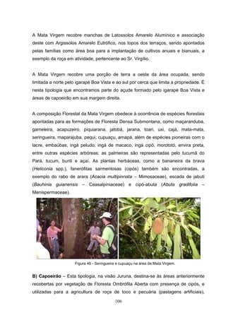 A Mata Virgem recobre manchas de Latossolos Amarelo Alumínico e associação
deste com Argissolos Amarelo Eutrófico, nos topos dos terraços, sendo apontados
pelas famílias como área boa para a implantação de cultivos anuais e bianuais, a
exemplo da roça em atividade, pertencente ao Sr. Virgílio.


A Mata Virgem recobre uma porção de terra a oeste da área ocupada, sendo
limitada a norte pelo igarapé Boa Vista e ao sul por cerca que limita a propriedade. É
nesta tipologia que encontramos parte do açude formado pelo igarapé Boa Vista e
áreas de capoeirão em sua margem direita.


A composição Florestal da Mata Virgem obedece à ocorrência de espécies florestais
apontadas para as formações de Floresta Densa Submontana, como maçaranduba,
gameleira, acapuzeiro, piquiarana, jatobá, jarana, toari, uxi, cajá, mata-mata,
seringueira, maparajuba, pequi, cupuaçu, amapá, além de espécies pioneiras com o
lacre, embaúbas, ingá peludo, ingá de macaco, ingá cipó, morototó, envira preta,
entre outras espécies arbóreas; as palmeiras são representadas pelo tucumã do
Pará, tucum, buriti e açaí. As plantas herbáceas, como a bananeira da brava
(Heliconia spp.), fanerófitas sarmentosas (cipós) também são encontradas, a
exemplo do rabo de arara (Acacia multipinnata – Mimosaceae), escada de jabuti
(Bauhinia guianensis – Ceasalpiniaceae) e cipó-abuta (Abuta gradifolia –
Menispermaceae).




                     Figura 46 - Seringueira e cupuaçu na área de Mata Virgem.


B) Capoeirão – Esta tipologia, na visão Juruna, destina-se às áreas anteriormente
recobertas por vegetação de Floresta Ombrófila Aberta com presença de cipós, e
utilizadas para a agricultura de roça de toco e pecuária (pastagens artificiais),

                                           106
 