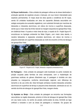 A) Roças tradicionais – Esta unidade de paisagem refere-se às áreas destinadas à
produção agrícola de espécies anuais e bianuais, em sua menor intensidade para
espécies permanentes. O mapa atual da área aponta a existência de 04 roças,
sendo 03 unidades localizadas em área de capoeirão (floresta secundária em
estágio avançados de sucessão vegetativa), com substrato formado por manchas de
latossolos e nitossolos alumínicos, em relevo de morros e superfície dissecada,
sendo que a maior área faz limite natural na margem esquerda do igarapé Boa Vista,
em distância linear. A quarta e maior área de roça, o roçado do Sr. Virgilio figura 47,
encontra-se na tipologia ambiental da Mata Virgem, com maior área aberta, e
recobre latossolos e argissolos amarelos alumínicos, em relevo de morros e
pequena extensão em superfície dissecada ao norte de encontro à linha de talvegue
da igarapé Boa Vista.




            Figura 47 - Roçado do Sr. Virgilio, latossolo e argissolo amareloaluminico.


B) Pastagens – Esta unidade de paisagem está localizada na parte nordeste da
porção ocupada pelas famílias de área antropizada, com a implantação de
gramíneas exóticas do gênero Brachiaria spp. A pastagem é dividida em dois
piquetes ou mangueiros, conforme denominação regional, com diferença de
tamanho e de uso entre ele. Esta formação antrópica recobre latossolos amarelos
alumínicos em superfície de terraço e pequena área dissecada, sobretudo ao sul, no
sentido da linha de talvegue do igarapé Boa Vista, margem direita.


C) Açaizais ou Brejo - Esta unidade de paisagem se encontra nas formações
secundárias na região dissecada, próximo à linha de talvegue do igarapé Boa Vista
em seu baixo curso, no centro da porção centro-oeste da área, limítrofe ao lago
artificial a noroeste e com as áreas de pastagens a nordeste. Os grupos de
                                               110
 