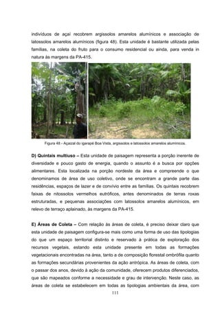 indivíduos de açaí recobrem argissolos amarelos alumínicos e associação de
latossolos amarelos alumínicos (figura 48). Esta unidade é bastante utilizada pelas
famílias, na coleta do fruto para o consumo residencial ou ainda, para venda in
natura às margens da PA-415.




      Figura 48 - Açaizal do igarapé Boa Vista, argissolos e latossolos amarelos alumínicos.


D) Quintais multiuso – Esta unidade de paisagem representa a porção inerente de
diversidade e pouco gasto de energia, quando o assunto é a busca por opções
alimentares. Esta localizada na porção nordeste da área e compreende o que
denominamos de área de uso coletivo, onde se encontram a grande parte das
residências, espaços de lazer e de convívio entre as famílias. Os quintais recobrem
faixas de nitossolos vermelhos eutróficos, antes denominados de terras roxas
estruturadas, e pequenas associações com latossolos amarelos alumínicos, em
relevo de terraço aplainado, às margens da PA-415.


E) Áreas de Coleta – Com relação às áreas de coleta, é preciso deixar claro que
esta unidade de paisagem configura-se mais como uma forma de uso das tipologias
do que um espaço territorial distinto e reservado à prática de exploração dos
recursos vegetais, estando esta unidade presente em todas as formações
vegetacionais encontradas na área, tanto a de composição florestal ombrófila quanto
as formações secundárias provenientes da ação antrópica. As áreas de coleta, com
o passar dos anos, devido à ação da comunidade, oferecem produtos diferenciados,
que são mapeados conforme a necessidade e grau de intervenção. Neste caso, as
áreas de coleta se estabelecem em todas as tipologias ambientais da área, com
                                              111
 
