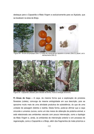destaque para o Capoeirão e Mata Virgem e exclusivamente para os Açaizais, que
se localizam na área de Brejo.




Figura 49 - Arvore de jenipapo (foto 1); frutos de maracujá da capoeira e cumaru (foto 2); jauari, uxi e
                                           samaumeira (foto 3)




Figura 50 - Capoeirão utilizado para retirada de lenha, frutos e extração de envira.


F) Áreas de Caça – A caça, da mesma forma que a exploração de produtos
florestais (coleta), comunga da mesma ambigüidade em sua descrição, pois se
aproxima muito mais de uma atividade produtiva de subsistência, do que de uma
unidade de paisagem distinta e restrita. Desta forma, pode-se afirmar que a caça
circunda o universo Juruna, como um dos meios de obtenção de proteína animal, e
está relacionada aos ambientes naturais com pouca intervenção, como a tipologia
da Mata Virgem e, ainda, os ambientes de intervenção anterior e em processo de
regeneração, como o Capoeirão e o Brejo, além dos fragmentos de mata próximos a

                                                  112
 