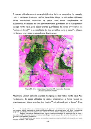 A pesca é utilizada somente para subsistência e de forma esporádica. No passado,
quando habitavam áreas das regiões do rio Iriri e Xingu, os mais velhos utilizavam
várias     modalidades           tradicionais        de     pesca      como        forma      complementar            de
subsistência. Na década de 1950 percorriam vários quilômetros até a atual ponte do
igarapé Ponte Nova, para pescar grande quantidades de peixes provenientes da
“batição de timbó”47 e a modalidade do tipo armadilha como o cacuri48, utilizado
conforme o ciclo hídrico e sazonalidade dos recursos.




                     Figura 51 - Área Indígena Juruna do Km 17, fragmentos florestais
                                        utilizados pela comunidade.


Atualmente utilizam somente as áreas dos Igarapés: Boa Vista e Ponte Nova. Nas
modalidades de pesca utilizadas na região encontramos a forma manual de
arremesso com linha e anzol ou tipo “caniço”49 e tradicional arco e flecha50. Essa


47
            No passado utilizava-se a modalidade de pesca do tipo veneno como timbó (cipó com propriedades ictiotóxicas)
para conseguir grandes quantidades de peixes. Conforme as entrevistas com os mais velhos, eles faziam o moquém nas
margens do igarapé e transportavam a pé para a área indígena em paneiros de folha de babaçu e/ou latas de querosene.
48
            Armadilha colocada nas margens do corpo d’água. Confeccionado na forma de esteira com tala de arumã e
amarrados com Envira ou cipó titica, e com estruturas de fixação feitas de paxiuba. Seu tamanho, altura e largura variam
conforme o nível da água do igarapé ou rio.
49
            Vara de pesca feita de talas flexíveis como bambu, ameju ou envireira, com linha de nylon comprida, com anzóis
pequenos ou médios e peso na ponta.
                                                          118
 
