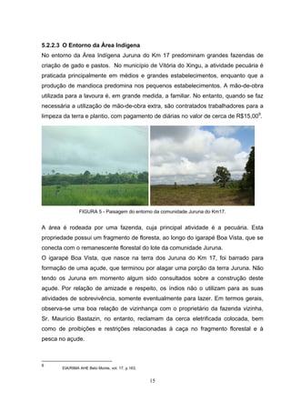 5.2.2.3 O Entorno da Área Indígena
No entorno da Área Indígena Juruna do Km 17 predominam grandes fazendas de
criação de gado e pastos. No município de Vitória do Xingu, a atividade pecuária é
praticada principalmente em médios e grandes estabelecimentos, enquanto que a
produção de mandioca predomina nos pequenos estabelecimentos. A mão-de-obra
utilizada para a lavoura é, em grande medida, a familiar. No entanto, quando se faz
necessária a utilização de mão-de-obra extra, são contratados trabalhadores para a
limpeza da terra e plantio, com pagamento de diárias no valor de cerca de R$15,009.




                FIGURA 5 - Paisagem do entorno da comunidade Juruna do Km17.


A área é rodeada por uma fazenda, cuja principal atividade é a pecuária. Esta
propriedade possui um fragmento de floresta, ao longo do igarapé Boa Vista, que se
conecta com o remanescente florestal do lote da comunidade Juruna.
O igarapé Boa Vista, que nasce na terra dos Juruna do Km 17, foi barrado para
formação de uma açude, que terminou por alagar uma porção da terra Juruna. Não
tendo os Juruna em momento algum sido consultados sobre a construção deste
açude. Por relação de amizade e respeito, os índios não o utilizam para as suas
atividades de sobrevivência, somente eventualmente para lazer. Em termos gerais,
observa-se uma boa relação de vizinhança com o proprietário da fazenda vizinha,
Sr. Maurício Bastazin, no entanto, reclamam da cerca eletrificada colocada, bem
como de proibições e restrições relacionadas à caça no fragmento florestal e à
pesca no açude.



9
       EIA/RIMA AHE Belo Monte, vol. 17, p.163.


                                                  15
 