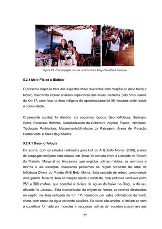 Figura 29 - Participação Juruna no Encontro Xingu Vivo Para Sempre.


5.2.4 Meio Físico e Biótico

O presente capítulo trata dos aspectos mais relevantes com relação ao meio físico e
biótico, buscando efetuar análises específicas das áreas utilizadas pelo povo Juruna
do Km 17, com foco na área indígena de aproximadamente 36 hectares onde reside
a comunidade.


O presente capítulo foi dividido nos seguintes tópicos: Geomorfologia, Geologia,
Solos, Recursos Hídricos, Caracterização da Cobertura Vegetal, Fauna, Ictiofauna,
Tipologias Ambientais, Mapeamento/Unidades da Paisagem, Áreas de Proteção
Permanente e Áreas degradadas.

5.2.4.1 Geomorfologia

De acordo com os estudos realizados pelo EIA do AHE Belo Monte (2008), a área
de ocupação indígena está situada em áreas de contato entre a Unidade de Relevo
do Planalto Marginal do Amazonas que engloba colinas médias, os morrotes e
morros e as escarpas dissecadas presentes na região noroeste da Área de
Influência Direta do Projeto AHE Belo Monte. Esta unidade de relevo compreende
uma grande faixa de área na direção oeste e nordeste, com altitudes variáveis entre
250 e 300 metros, que constitui o divisor de águas do baixo rio Xingu e de seu
afluente rio Jarauçu. Esta interconexão da origem às formas de relevos dissecados
na região da área indígena do Km 17, formados por vales colmatados de fundo
chato, com curso de água cortando aluviões. Os vales são amplos e limitam-se com
a superfície formada por morrotes e pequenas colinas de rebordos suscetíveis aos

                                             77
 