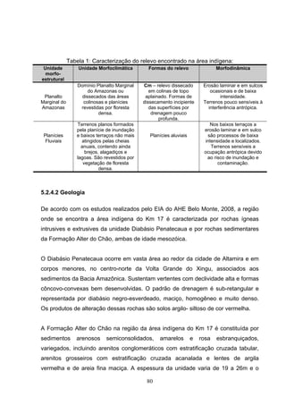 Tabela 1: Caracterização do relevo encontrado na área indígena:
 Unidade          Unidade Morfoclimática        Formas do relevo                 Morfodinâmica
  morfo-
estrutural
                  Domínio Planalto Marginal   Cm – relevo dissecado        Erosão laminar e em sulcos
                       do Amazonas ou            em colinas de topo           ocasionais e de baixa
 Planalto           dissecados das áreas       aplainado. Formas de                intensidade.
Marginal do         colinosas e planícies     dissecamento incipiente      Terrenos pouco sensíveis à
Amazonas           revestidas por floresta       das superfícies por         interferência antrópica.
                           densa.                 drenagem pouco
                                                     profunda.
                 Terrenos planos formados                                    Nos baixos terraços a
                 pela planície de inundação                                erosão laminar e em sulco
 Planícies       e baixos terraços não mais      Planícies aluviais         são processos de baixa
  Fluviais         atingidos pelas cheias                                  intensidade e localizados.
                   anuais, contendo ainda                                     Terrenos sensíveis a
                     brejos, alagadiços e                                  ocupação antrópica devido
                 lagoas. São revestidos por                                 ao risco de inundação e
                    vegetação de floresta                                        contaminação.
                            densa.




5.2.4.2 Geologia

De acordo com os estudos realizados pelo EIA do AHE Belo Monte, 2008, a região
onde se encontra a área indígena do Km 17 é caracterizada por rochas ígneas
intrusives e extrusives da unidade Diabásio Penatecaua e por rochas sedimentares
da Formação Alter do Chão, ambas de idade mesozóica.


O Diabásio Penatecaua ocorre em vasta área ao redor da cidade de Altamira e em
corpos menores, no centro-norte da Volta Grande do Xingu, associados aos
sedimentos da Bacia Amazônica. Sustentam vertentes com declividade alta e formas
côncovo-convexas bem desenvolvidas. O padrão de drenagem é sub-retangular e
representada por diabásio negro-esverdeado, maciço, homogêneo e muito denso.
Os produtos de alteração dessas rochas são solos argilo- siltoso de cor vermelha.


A Formação Alter do Chão na região da área indígena do Km 17 é constituída por
sedimentos       arenosos     semiconsolidados,      amarelos         e   rosa   esbranquiçados,
variegados, incluindo arenitos conglomeráticos com estratificação cruzada tabular,
arenitos grosseiros com estratificação cruzada acanalada e lentes de argila
vermelha e de areia fina maciça. A espessura da unidade varia de 19 a 26m e o

                                               80
 