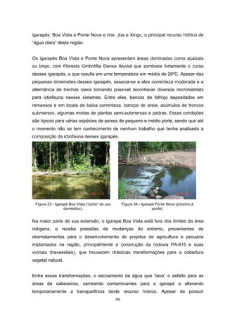 igarapés: Boa Vista e Ponte Nova e rios: Joa e Xingu, o principal recurso hídrico de
“água clara” desta região.


Os igarapés Boa Vista e Ponte Nova apresentam áreas dominadas como açaizais
ou brejo, com Floresta Ombrófila Densa Aluvial que sombreia fortemente o curso
desses igarapés, o que resulta em uma temperatura em média de 26ºC. Apesar das
pequenas dimensões desses igarapés, associa-se a eles correnteza moderada e a
alternância de trechos rasos tornando possível reconhecer diversos microhabitats
para ictiofauna nesses sistemas. Entre eles, bancos de folhiço depositados em
remansos e em locais de baixa correnteza, bancos de areia, acúmulos de troncos
submersos, algumas moitas de plantas semi-submersas e pedras. Essas condições
são típicas para várias espécies de peixes de pequeno e médio porte, sendo que até
o momento não se tem conhecimento de nenhum trabalho que tenha analisado a
composição da ictiofauna desses igarapés.




 Figura 33 - Igarapé Boa Vista (“porto” de uso        Figura 34 - Igarapé Ponte Nova (próximo à
                  doméstico).                                           ponte).


Na maior parte de sua extensão, o igarapé Boa Vista está fora dos limites da área
indígena, e recebe pressões de mudanças do entorno, provenientes de
desmatamentos para o desenvolvimento de projetos de agricultura e pecuária
implantados na região, principalmente a construção da rodovia PA-415 e suas
vicinais (travessões), que trouxeram drásticas transformações para a cobertura
vegetal natural.


Entre essas transformações, o escoamento da água que “lava” o asfalto para as
áreas de cabeceiras, carreando contaminantes para o igarapé e alterando
temporariamente a transparência deste recurso hídrico. Apesar de possuir
                                                 86
 