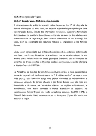5.2.4.5 Caracterização vegetal

5.2.4.5.1 Caracterização fitofisionômica da região

A caracterização do ambiente ocupado pelos Juruna no Km 17 foi integrada às
demais informações do meio físico, em especial à geomorfologia e pedologia. Esta
caracterização busca, através das informações levantadas, subsidiar a formulação
de indicadores de qualidade de ambientes, evidenciar as áreas de degradadas e em
processo natural de regeneração, bem como as alternativas de uso e manejo dos
solos, além da exploração dos recursos naturais já empregados pelas famílias
Juruna.


Levou-se em consideração que a Região Ecológica ou Fitoecológica é determinada
pela flora, com formas biológicas características, que se repetem dentro de um
mesmo clima, muitas vezes em áreas geológicas diferentes, daí as variações de
tamanhos de áreas cobertas e diferentes espécies dominantes, segundo Ellenberg
et Mueller-Dombois (1965/66).


Na Amazônia, as florestas de terra firme constituem a maior e mais representativa
formação vegetacional, totalizando cerca de 3,5 milhões de km2, de acordo com
Pires (1973). Esta formação abriga uma grande variedade de fitofisionomias e
paisagens, variando de densas aluviais e das terras baixas, que são ricas em
diversidade e biomassa, até formações abertas nas regiões sub-montanas e
montanhosas, com menor biomassa e menos diversidade de espécies. As
classificações fitofisionômicas da região amazônica segundo, RADAM (1974) e
EIA/AHE Belo Monte (2008) estão resumidas no fluxograma (Figura 35), bem como
descritas a seguir.




                                       88
 