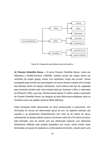 Aluvial


                                                   Densa                         Platôs

                                                                              Submontana

                                                                              Com Cipós
         Floresta Ombrófila                      Aberta
                                                                          Com Palmeiras


                                                                              Capoeiras Jovens
                                               Secundária
                                                                          Capoeiras Maduras




                     Figura 35- Fluxograma das fitofisionomias da Amazônia.



A) Floresta Ombrófila Densa – O termo Floresta Ombrófila Densa, criado por
Ellemberg e Mueller-Dombois (1665/66), substitui pluvial (de origem latina) por
ombrófila (de origem grega), ambos com significado “amigo das chuvas”. Sendo
empregado pela primeira vez para designar os termos densos e aberta como divisão
das florestas dentro do espaço intertropical, muito embora este tipo de vegetação
seja conhecido também pelo nome original dado por Schimper (1903), e reafirmado
por Richards (1952), qual seja, floresta pluvial tropical. É melhor aceita a expressão
de Floresta Ombrófila Densa, por designar as duas fisionomias ecológicas, tanto na
Amazônia como nas regiões costeiras (Mata Atlântica).


Estas formações estão relacionadas ao clima quente-úmido e superúmido, com
diminuição de chuvas em determinada época do ano. As espécies arbóreas são
pujantes e se apresentam freqüentemente com mais de 50 metros de altura,
sobressaindo no estrato arbóreo contínuo de árvores entre 20 e 25 metros de altura.
Esta formação varia de acordo com sua distribuição espacial, com diferenças
fisionômicas refletidas pela posição topográfica que ocupa, sendo muitas vezes
dominadas por grupos de espécies ou ainda espécie dominante, criando assim uma

                                              89
 