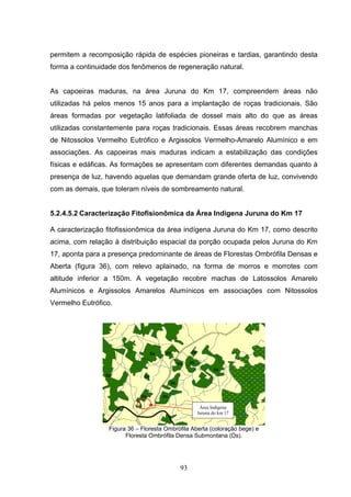 permitem a recomposição rápida de espécies pioneiras e tardias, garantindo desta
forma a continuidade dos fenômenos de regeneração natural.


As capoeiras maduras, na área Juruna do Km 17, compreendem áreas não
utilizadas há pelos menos 15 anos para a implantação de roças tradicionais. São
áreas formadas por vegetação latifoliada de dossel mais alto do que as áreas
utilizadas constantemente para roças tradicionais. Essas áreas recobrem manchas
de Nitossolos Vermelho Eutrófico e Argissolos Vermelho-Amarelo Alumínico e em
associações. As capoeiras mais maduras indicam a estabilização das condições
físicas e edáficas. As formações se apresentam com diferentes demandas quanto à
presença de luz, havendo aquelas que demandam grande oferta de luz, convivendo
com as demais, que toleram níveis de sombreamento natural.


5.2.4.5.2 Caracterização Fitofisionômica da Área Indígena Juruna do Km 17

A caracterização fitofissionômica da área indígena Juruna do Km 17, como descrito
acima, com relação à distribuição espacial da porção ocupada pelos Juruna do Km
17, aponta para a presença predominante de áreas de Florestas Ombrófila Densas e
Aberta (figura 36), com relevo aplainado, na forma de morros e morrotes com
altitude inferior a 150m. A vegetação recobre machas de Latossolos Amarelo
Alumínicos e Argissolos Amarelos Alumínicos em associações com Nitossolos
Vermelho Eutrófico.




                                                  Área Indígena
                                                 Juruna do km 17


                 Figura 36 – Floresta Ombrófila Aberta (coloração bege) e
                       Floresta Ombrófila Densa Submontana (Ds).




                                           93
 