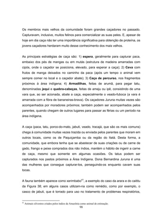 Os membros mais velhos da comunidade foram grandes caçadores no passado.
Capturavam, inclusive, muitos felinos para comercializar as suas peles. E, apesar de
hoje em dia caça não ter uma importância significativa para obtenção de proteína, os
jovens caçadores herdaram muito desse conhecimento dos mais velhos.


As principais estratégias de caça são: 1) espera, geralmente para capturar paca,
embaixo dos pés de mangas ou em mutás (estrutura de madeira amarradas com
cipós, onde o caçador se posiciona, elevado, para esperar a caça); 2) Ceva com
frutos de manga deixados no caminho da paca (após um tempo o animal vem
sempre comer no local e o caçador abate); 3) Caça de percurso, nos fragmentos
próximos à área indígena; 4) Armadilhas, feitas de arumã, para pegar tatu,
denominadas jequi e quebra-cabeças, feitas de ameju ou ipê, consistindo de uma
vara que, ao ser acionada, abate a caça, especialmente o veado-fuboca (a vara é
amarrada com a fibra de bananeiras-brava). Os caçadores Juruna muitas vezes são
acompanhados por moradores próximos; também podem ser acompanhados pelos
parentes, quando chegam de outros lugares para passar as férias ou um período na
área indígena.


A caça (paca, tatu, porco-do-mato, jabuti, veado, tracajá, que são os mais comuns)
chega à comunidade muitas vezes trazida ou enviada pelos parentes que moram em
outros locais, como os de Paquiçamba ou da região do Itatá. Desta forma, a
comunidade, que embora tenha que se abastecer de suas criações ou de carne de
gado, frango e peixe comprados dos não índios, mantém o hábito de ingerir a carne
de caça, mesmo que somente em algumas ocasiões. Os tatus podem ser
capturados nos pastos próximos a Área Indígena. Dona Bernardina Juruna é uma
das mulheres que consegue capturar-los, perseguindo-os enquanto cavam suas
tocas.


A fauna também aparece como xerimbabo41, a exemplo do caso da arara e do caititu
da Figura 38; em alguns casos utilizam-na como remédio, como por exemplo, o
casco de jabuti, que é torrado para uso no tratamento de problemas respiratórios,


41
     Animais silvestres criados pelos índios da Amazônia como animal de estimação.
                                                       98
 