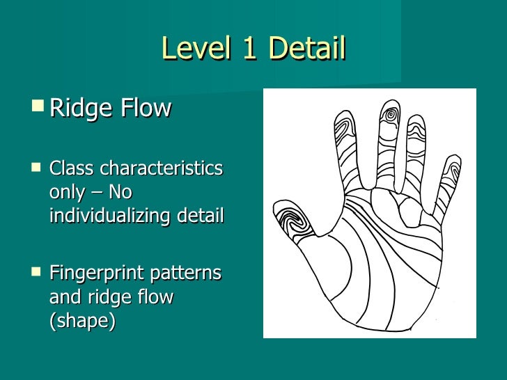 Friction Skin Identification