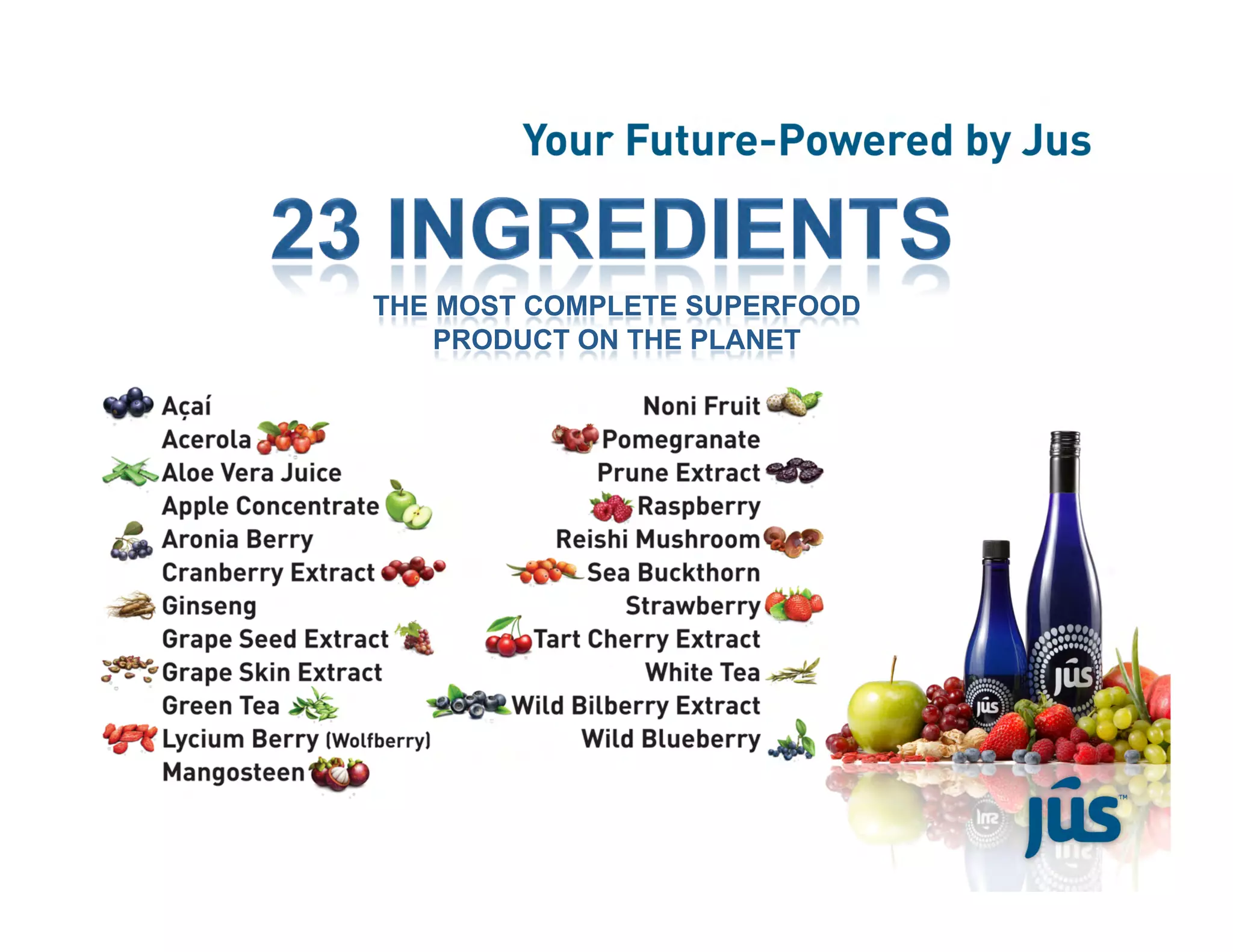 Jus Flip Chart10 13 08