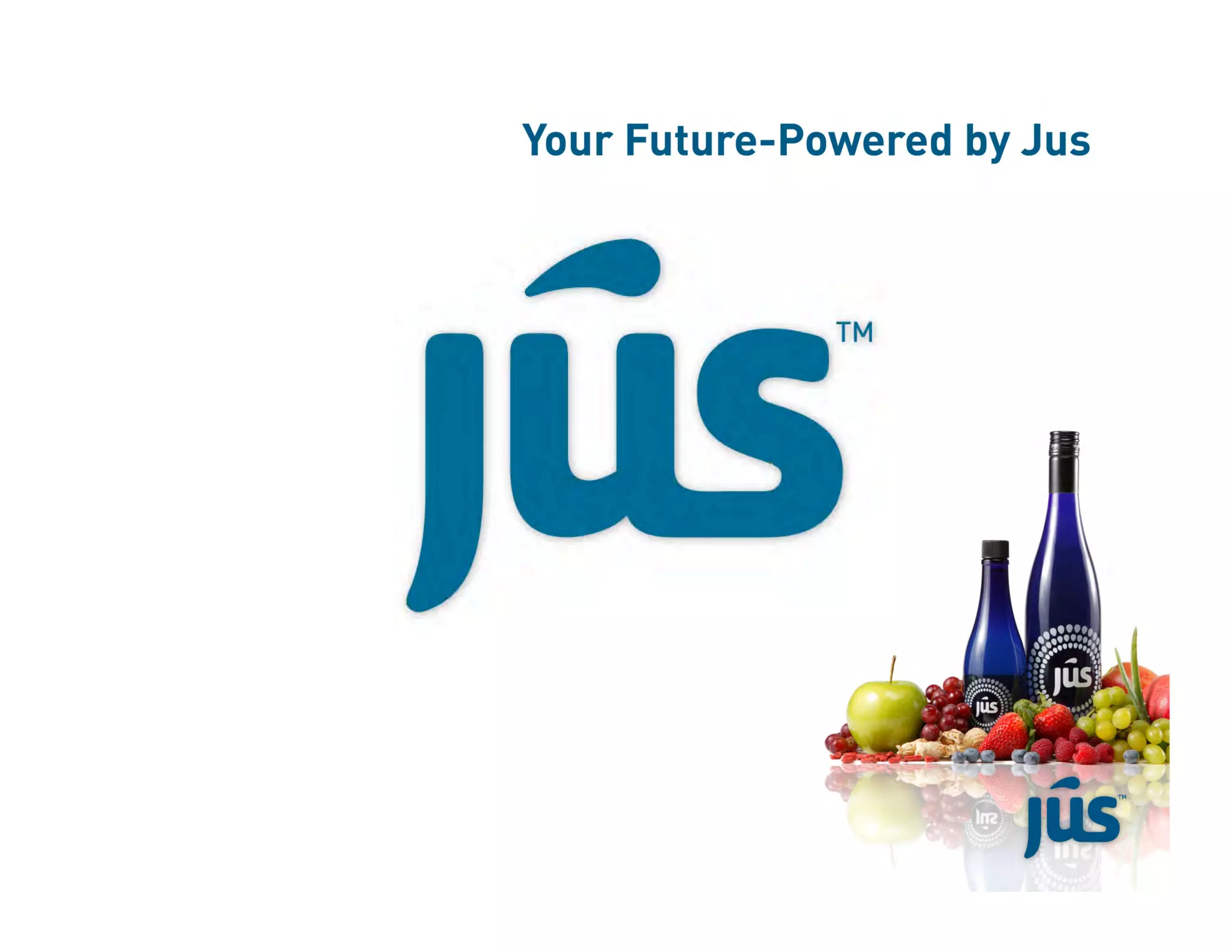 Jus Flip Chart10 13 08