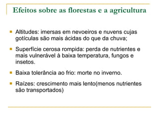 Efeitos sobre as florestas e a agricultura Altitudes: imersas em nevoeiros e nuvens cujas gotículas são mais ácidas do que da chuva; Superfície cerosa rompida: perda de nutrientes e mais vulnerável à baixa temperatura, fungos e insetos. Baixa tolerância ao frio: morte no inverno. Raízes: crescimento mais lento(menos nutrientes são transportados) 