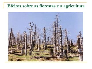 Efeitos sobre as florestas e a agricultura 