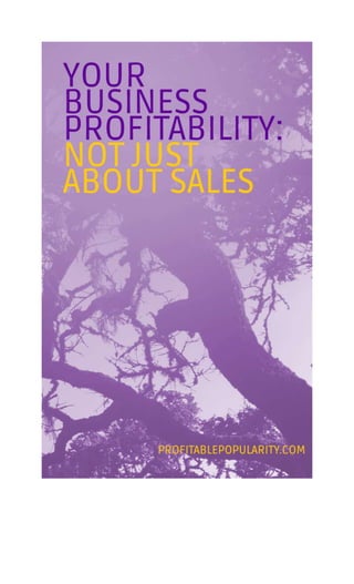 Your Business Profitability: Not Just About Sales