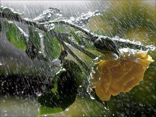 Just water