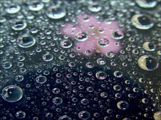 Just water