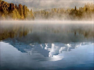 Just water