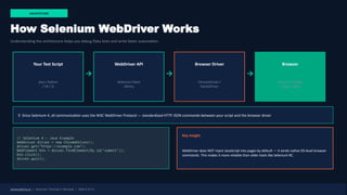 The Complete Guide to Selenium Automation Testing — Skills That Get You ...