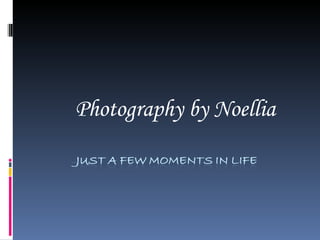 Photography by Noellia 