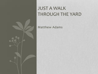Matthew Adams
JUST A WALK
THROUGH THE YARD
 