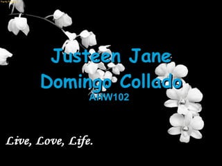 Justeen Jane Domingo Collado AHW102 