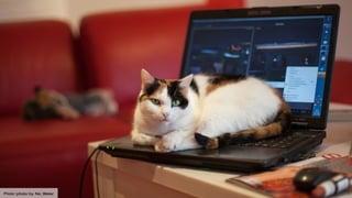 Flickr photo by No_Water
 