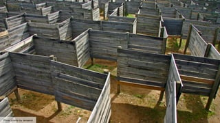 Flickr photo by Iansand
 