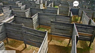 Hello?




Flickr photo by Iansand
 