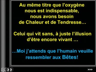 Juste Un Peu D Amour