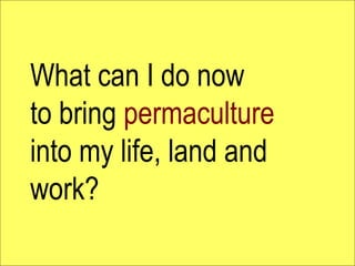 What can I do now
to bring permaculture
into my life, land and
work?
 