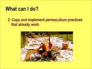 What can I do?
2. Copy and implement permaculture practices
   that already work.
 