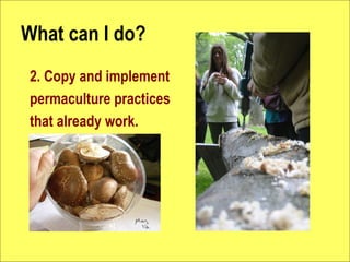 What can I do?
2. Copy and implement
permaculture practices
that already work.
 