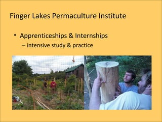 Finger Lakes Permaculture Institute

 ? Apprenticeships & Internships
   C intensive study & practice
 