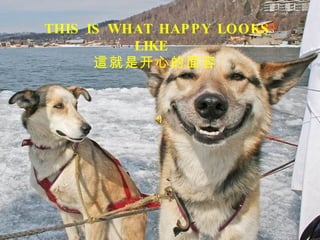 THIS IS WHAT HAPPY LOOKS LIKE  這就是开心的面容   