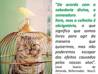 “De acordo com a
sabedoria divina, a
semeadura             é
livre, mas a colheita é
obrigatória, o que
significa que somos
livres para agir da
maneira            que
quisermos, mas não
poderemos      escapar
dos efeitos causados
pelos nossos atos”.
(José       Soares      de
Almeida, Reformador, Nov/1
 