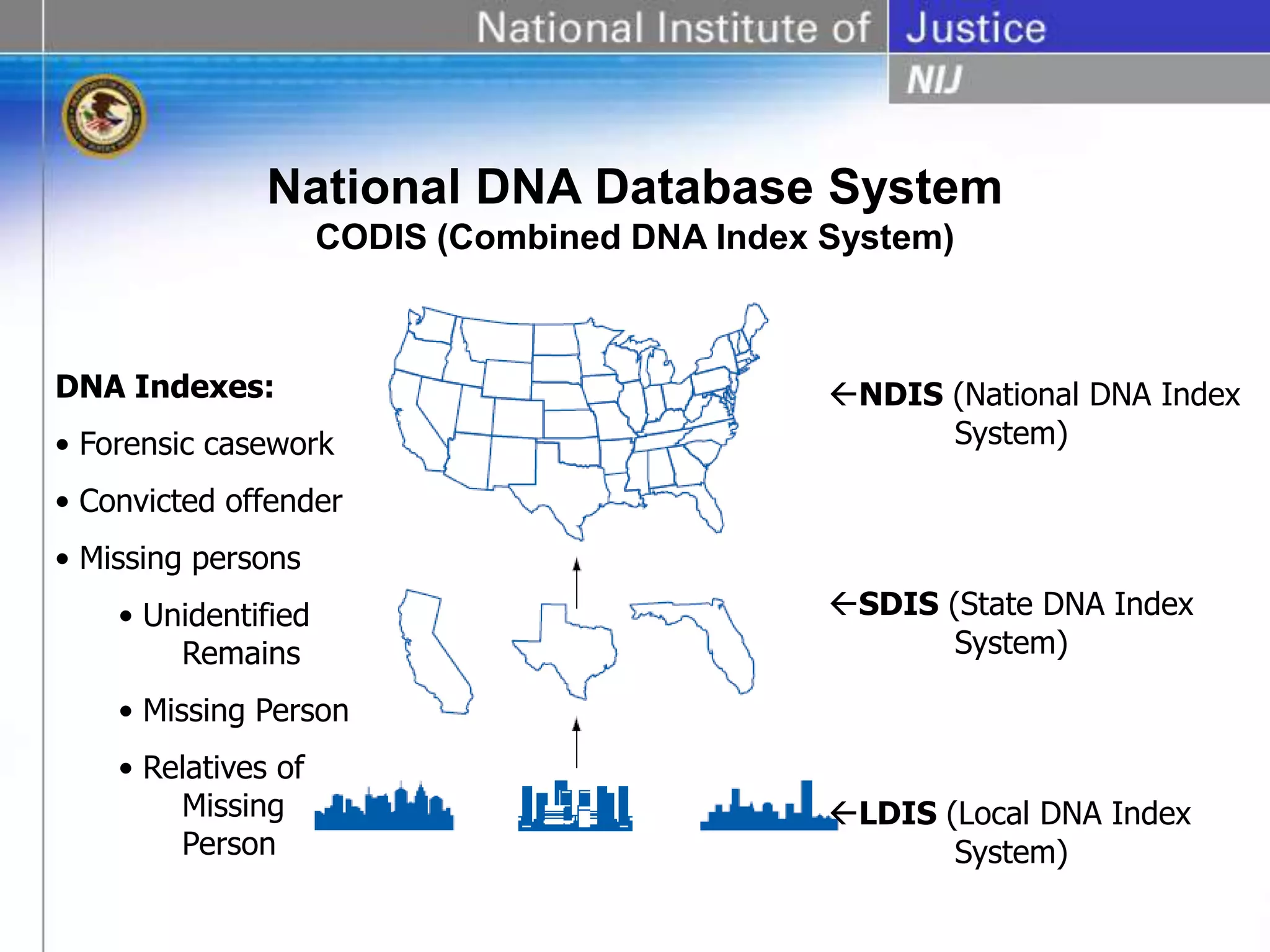 National DNA Database System
CODIS (Combined DNA Index System)
NDIS (National DNA Index
System)
SDIS (State DNA Index
System)
LDIS (Local DNA Index
System)
DNA Indexes:
• Forensic casework
• Convicted offender
• Missing persons
• Unidentified
Remains
• Missing Person
• Relatives of
Missing
Person
 