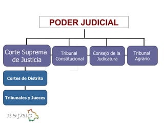 ESTRUCTURA FUNCIONAL ACTUAL Cortes de Distrito Corte Suprema  de Justicia Tribunales y Jueces PODER JUDICIAL Tribunal  Agrario Consejo de la  Judicatura Tribunal  Constitucional 