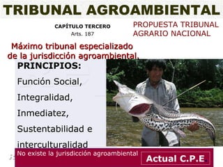 CAPÍTULO TERCERO Arts. 187 No existe la jurisdicción agroambiental Actual C.P.E . Máximo tribunal especializado  de la jurisdicción agroambiental. PRINCIPIOS: Función Social, Integralidad, Inmediatez, Sustentabilidad e interculturalidad TRIBUNAL AGROAMBIENTAL PROPUESTA TRIBUNAL AGRARIO NACIONAL 