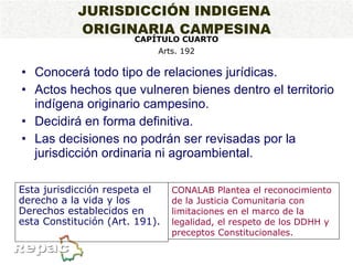 Conocerá todo tipo de relaciones jurídicas. Actos hechos que vulneren bienes dentro el territorio indígena originario campesino. Decidirá en forma definitiva. Las decisiones no podrán ser revisadas por la jurisdicción ordinaria ni agroambiental. JURISDICCIÓN INDIGENA  ORIGINARIA CAMPESINA CAPÍTULO CUARTO Arts. 192 CONALAB Plantea el reconocimiento de la Justicia Comunitaria con limitaciones en el marco de la legalidad, el respeto de los DDHH y preceptos Constitucionales. Esta jurisdicción respeta el derecho a la vida y los Derechos establecidos en esta Constitución (Art. 191). 