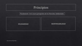 Alvaro Hernan Mejia Mejia
Fundamento de la nueva perspectiva de los Derechos Ambientales
 
