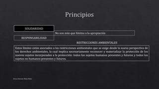 Estos límites están asociados a las restricciones ambientales que se exige desde la nueva perspectiva de
los derechos ambientales, la cual implica necesariamente reconocer y materializar la protección de los
nuevos sujetos incorporados a la protección: todos los sujetos humanos presentes y futuros y todos los
sujetos no humanos presentes y futuros.
Alvaro Hernan Mejia Mejia
SOLIDARIDAD
RESPONSABILIDAD
No son más que límites a la apropiación
RESTRICCIONES AMBIENTALES
 