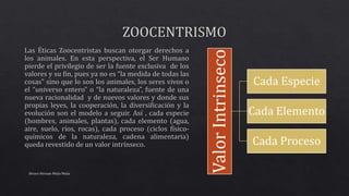 Alvaro Hernan Mejia Mejia
ValorIntrinseco
Cada Especie
Cada Elemento
Cada Proceso
 